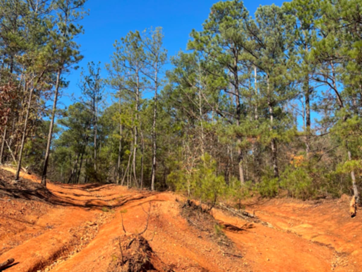 31 trail photo