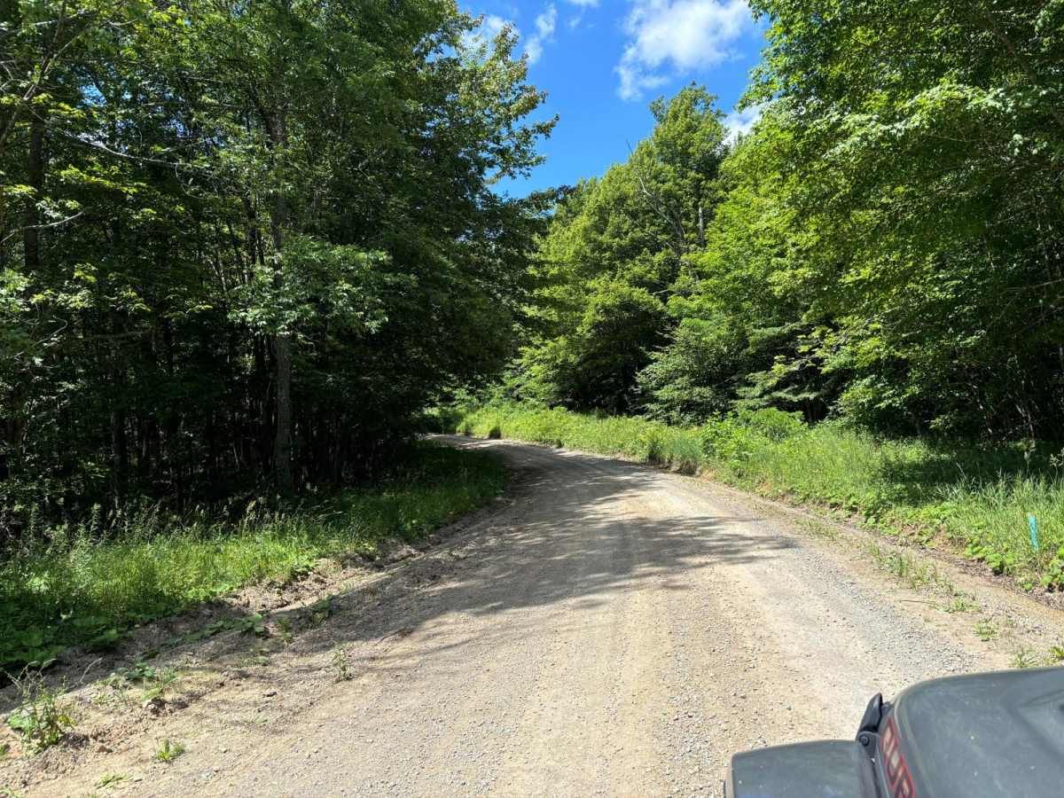 Spruce Mountain Trail photo 5