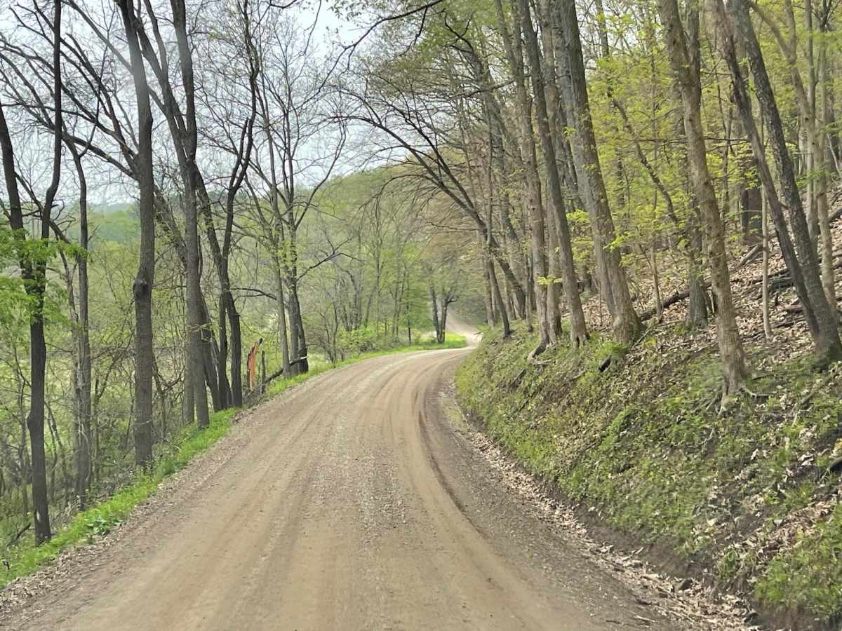 Walhonding Hills Steel Bridge to 715 Batnest Loop photo 6
