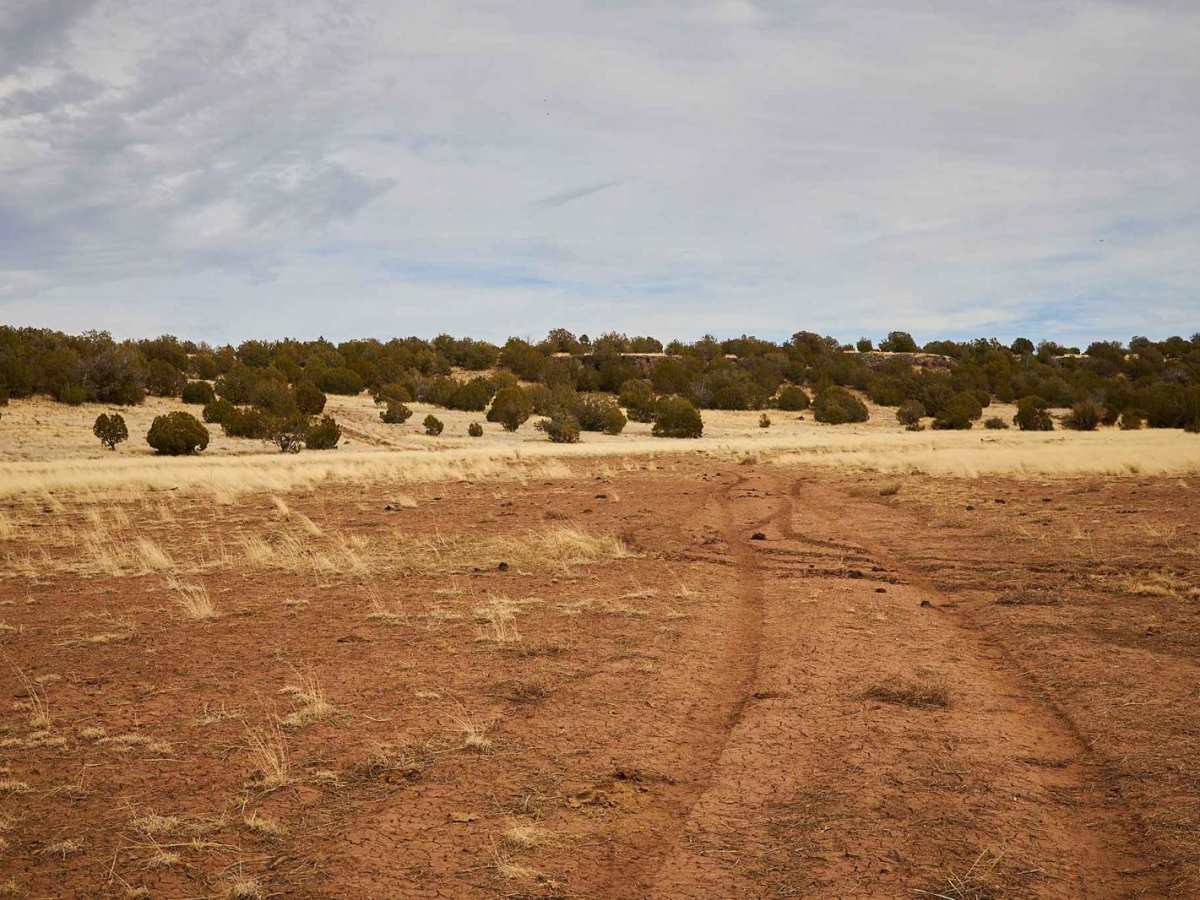 Hunters Camp trail photo