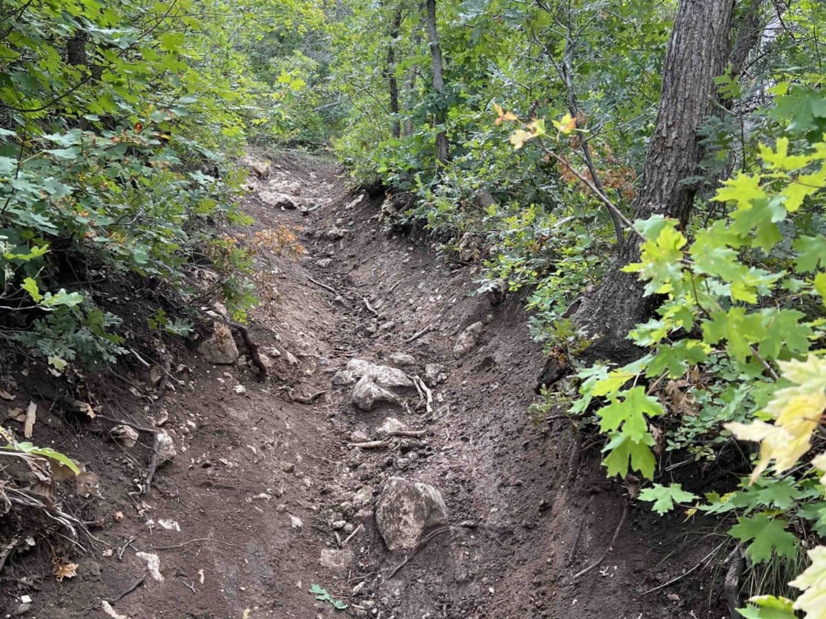 Kirkman Hollow (8012) photo 3