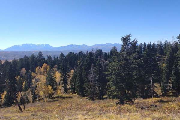 FS 80178 Upper Cedar Hollow OHV
