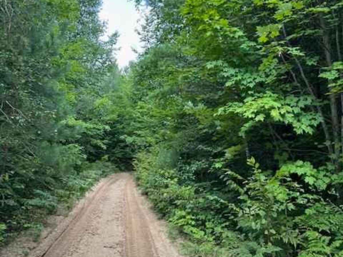Wilderness Road photo 2