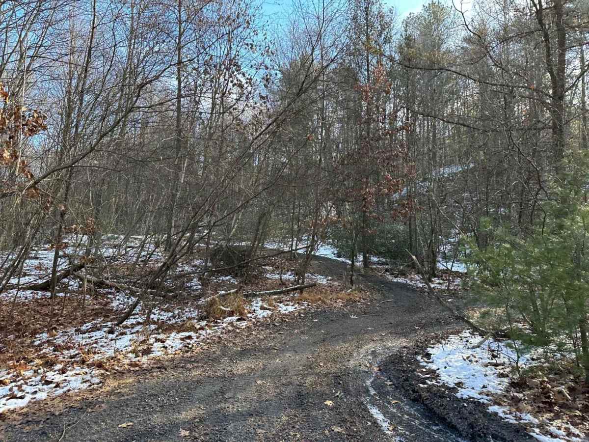 Locust Gap 34 photo 6