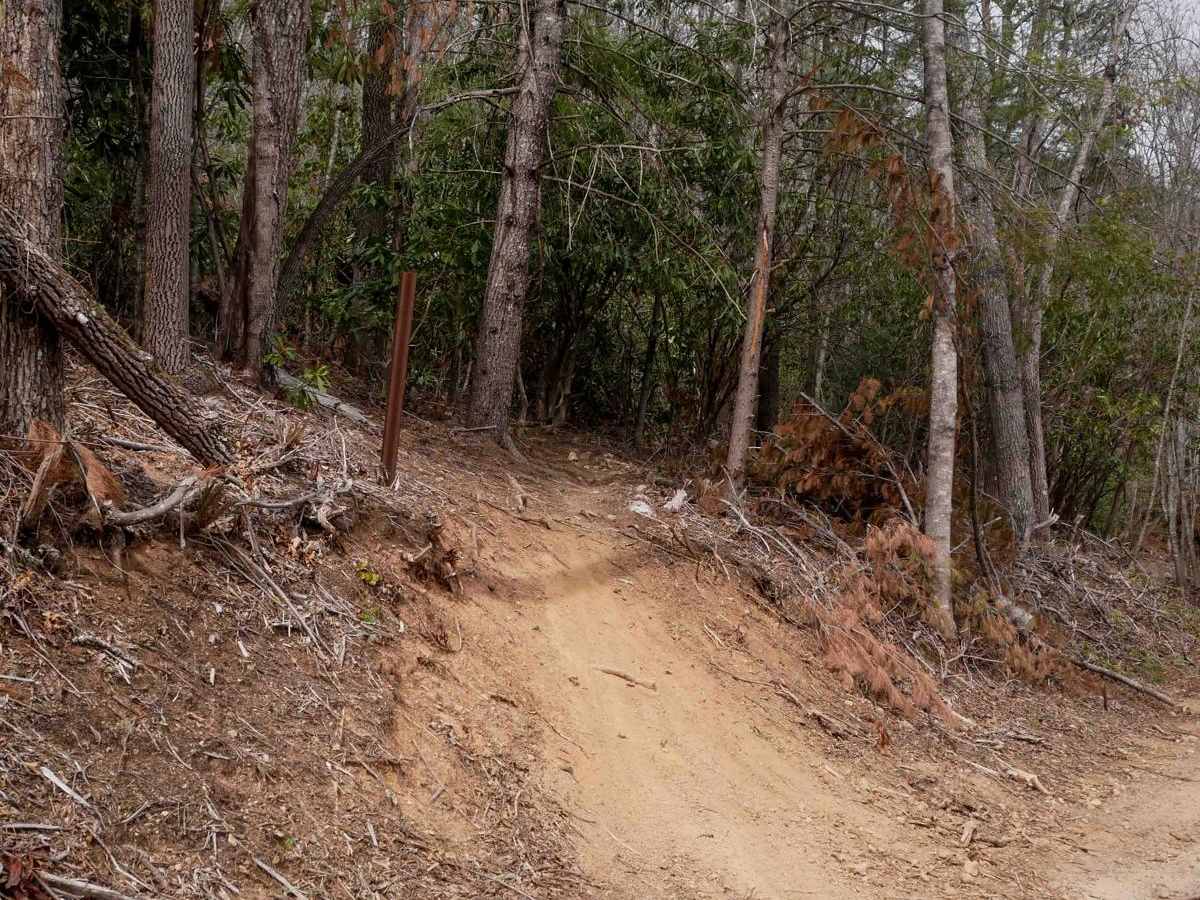 A3 trail photo