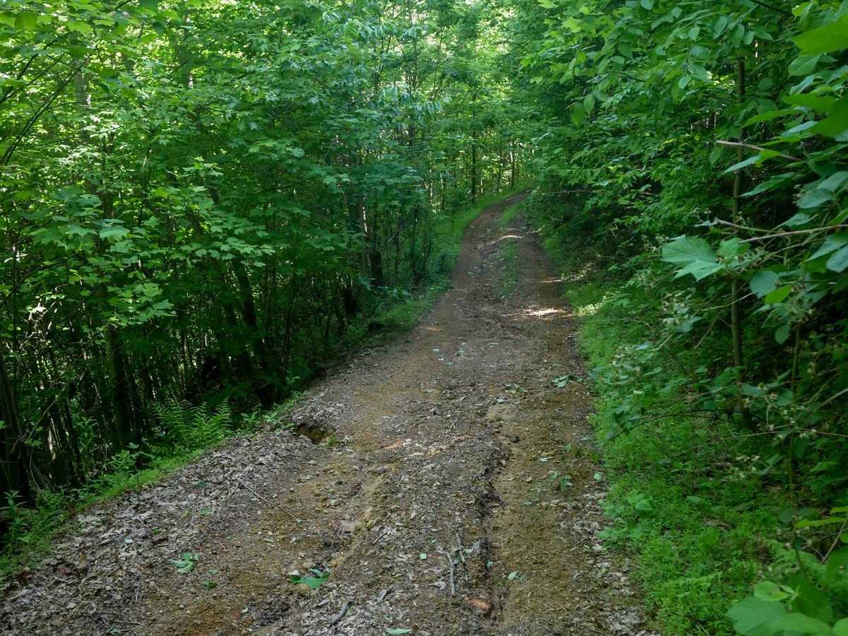 RV43 trail photo