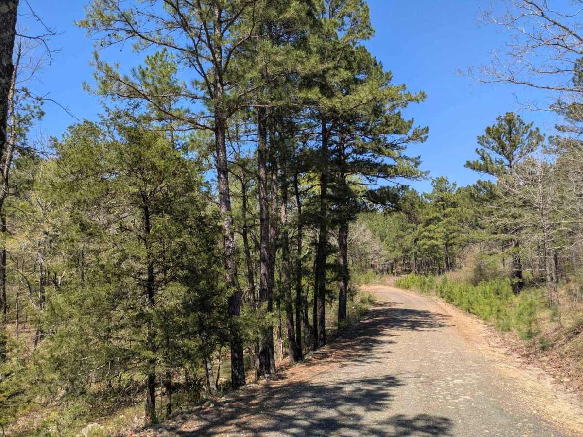 53500 Creek Trail photo 6