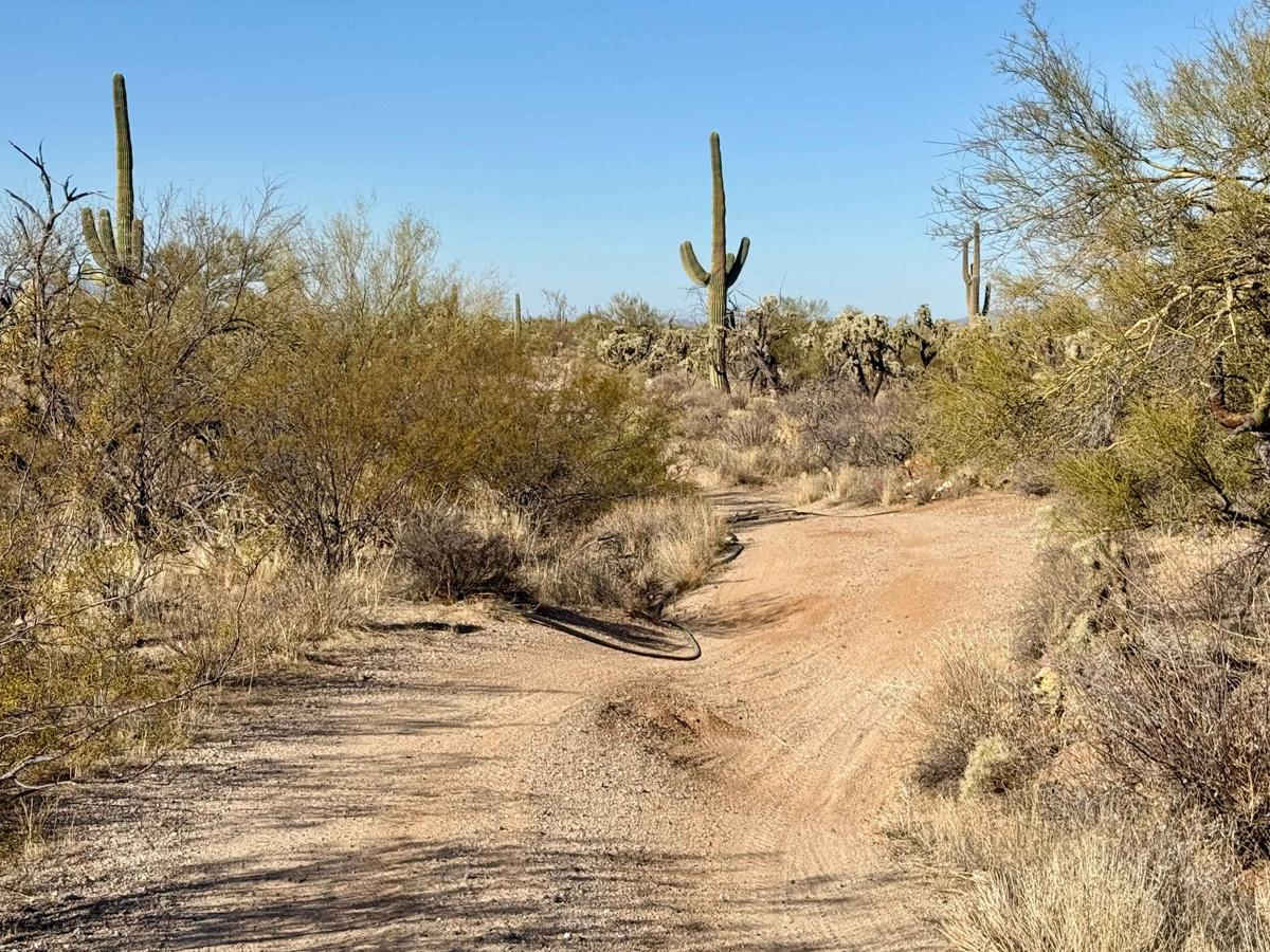 Crescent Trail photo 3