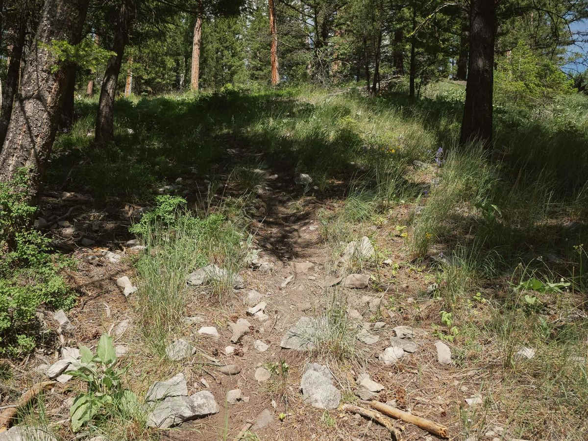 Silverleads Ridge photo 2