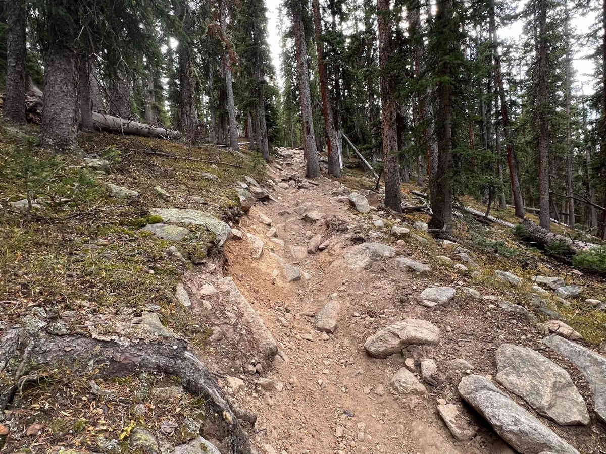 Timberline Trail #414 photo 2