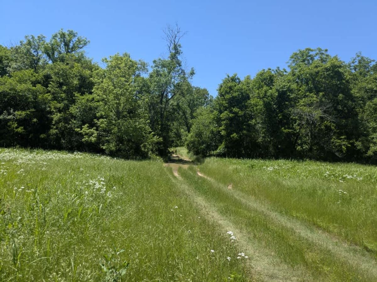 Hay Field photo 2