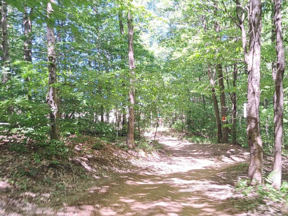 Farr Lot trail photo