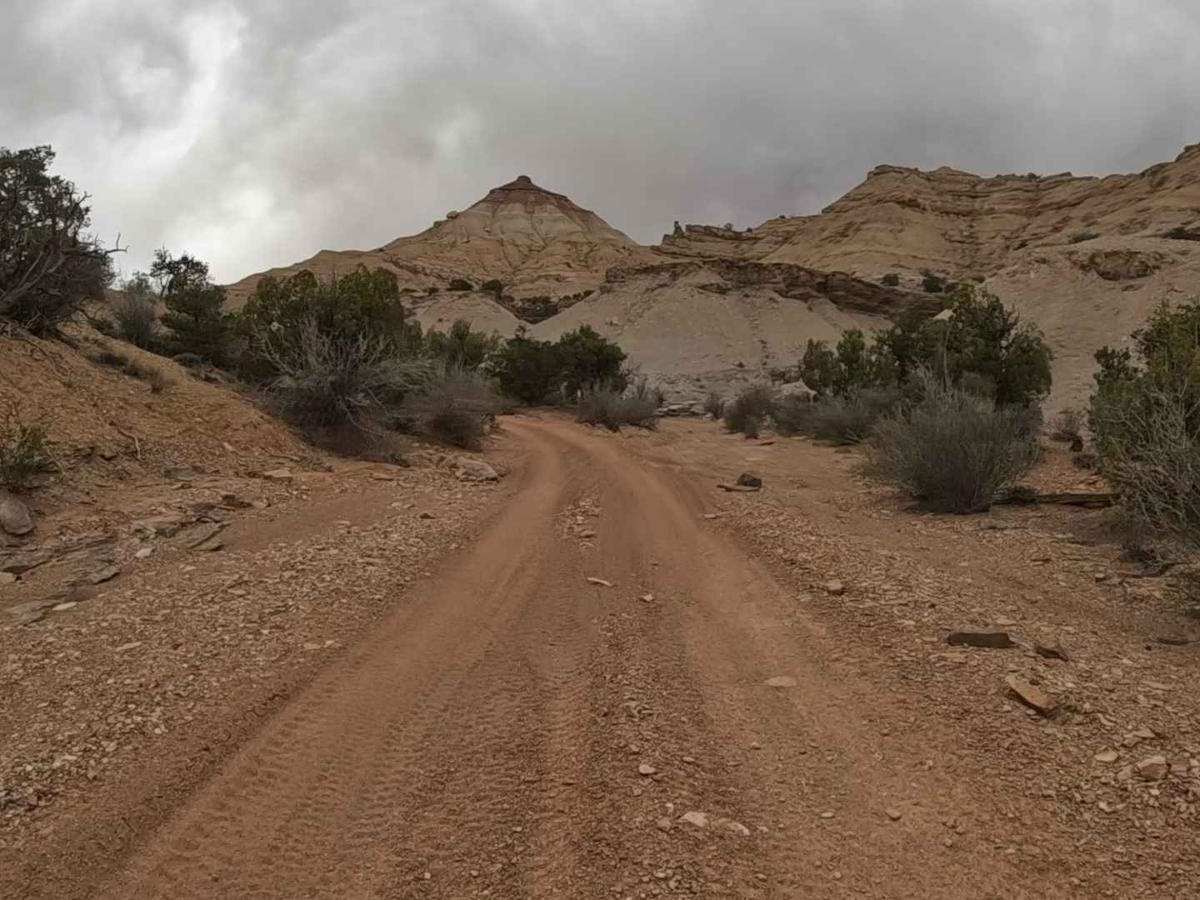 The Wickiup Loop trail photo