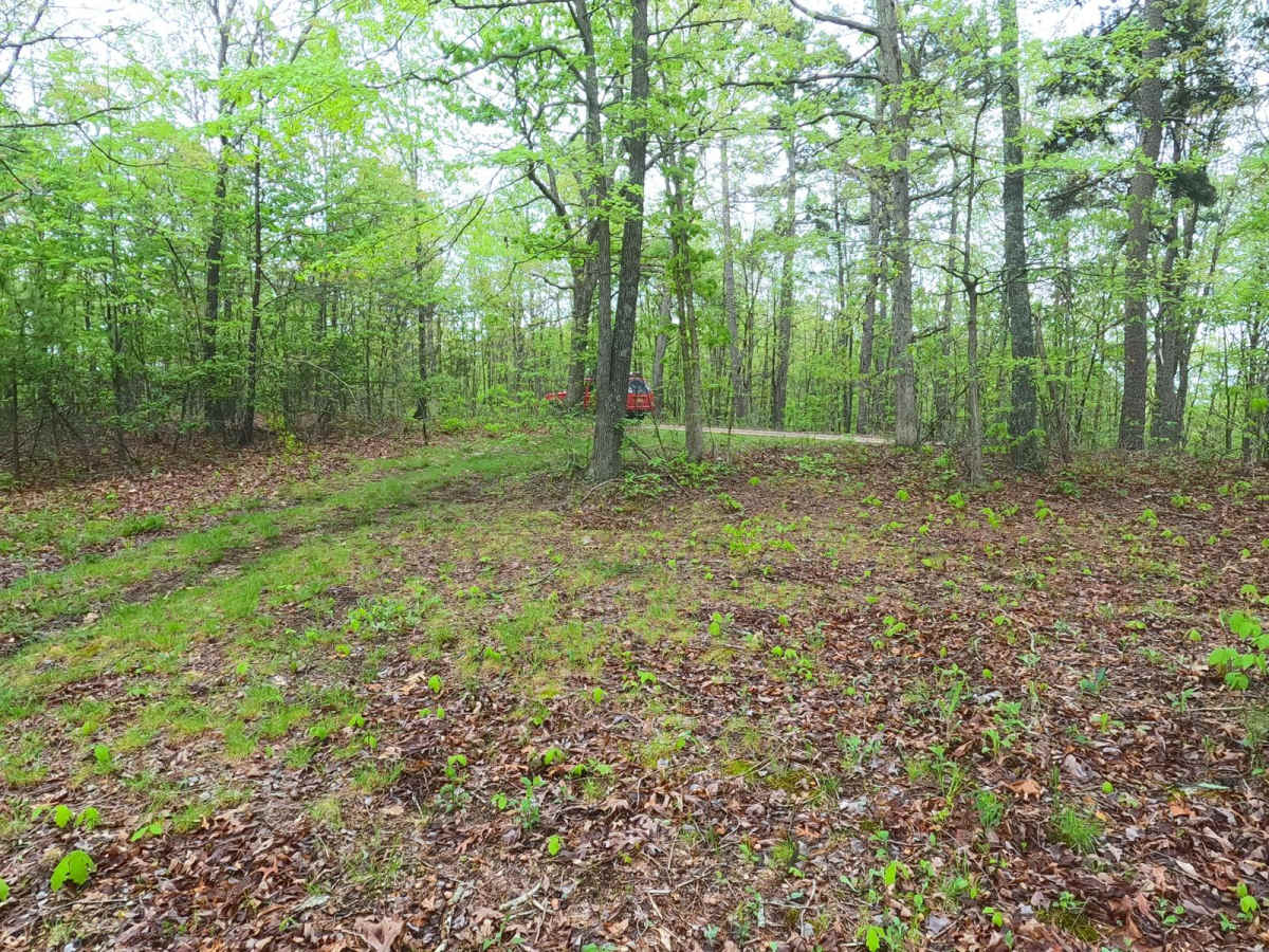Cistern Ridge - FS 2478 photo 3