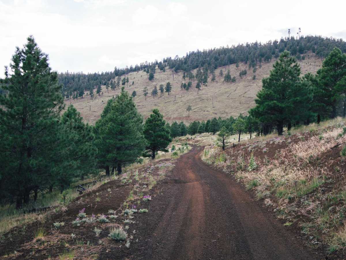 SaddleMountain photo 2