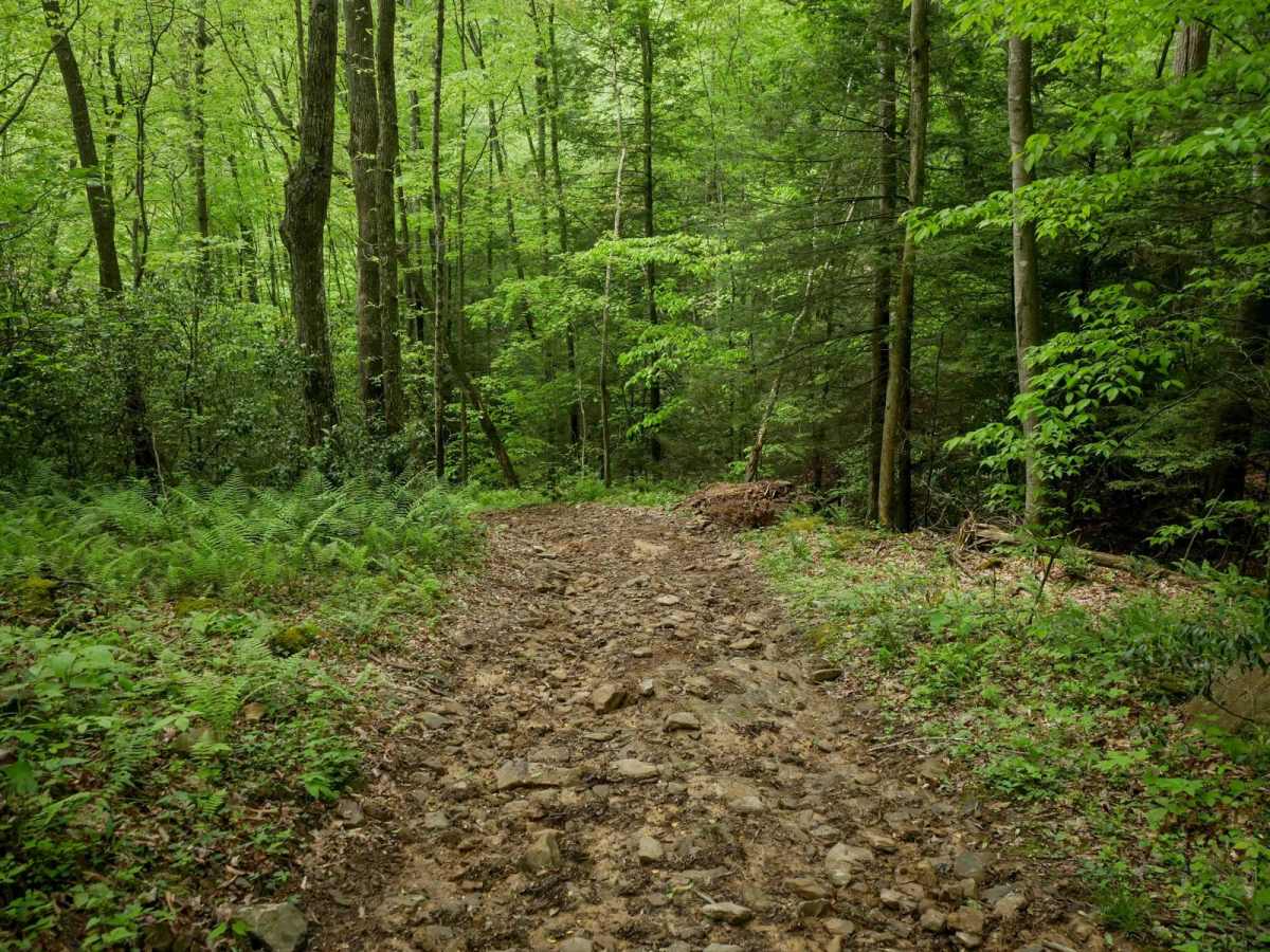 J74 trail photo
