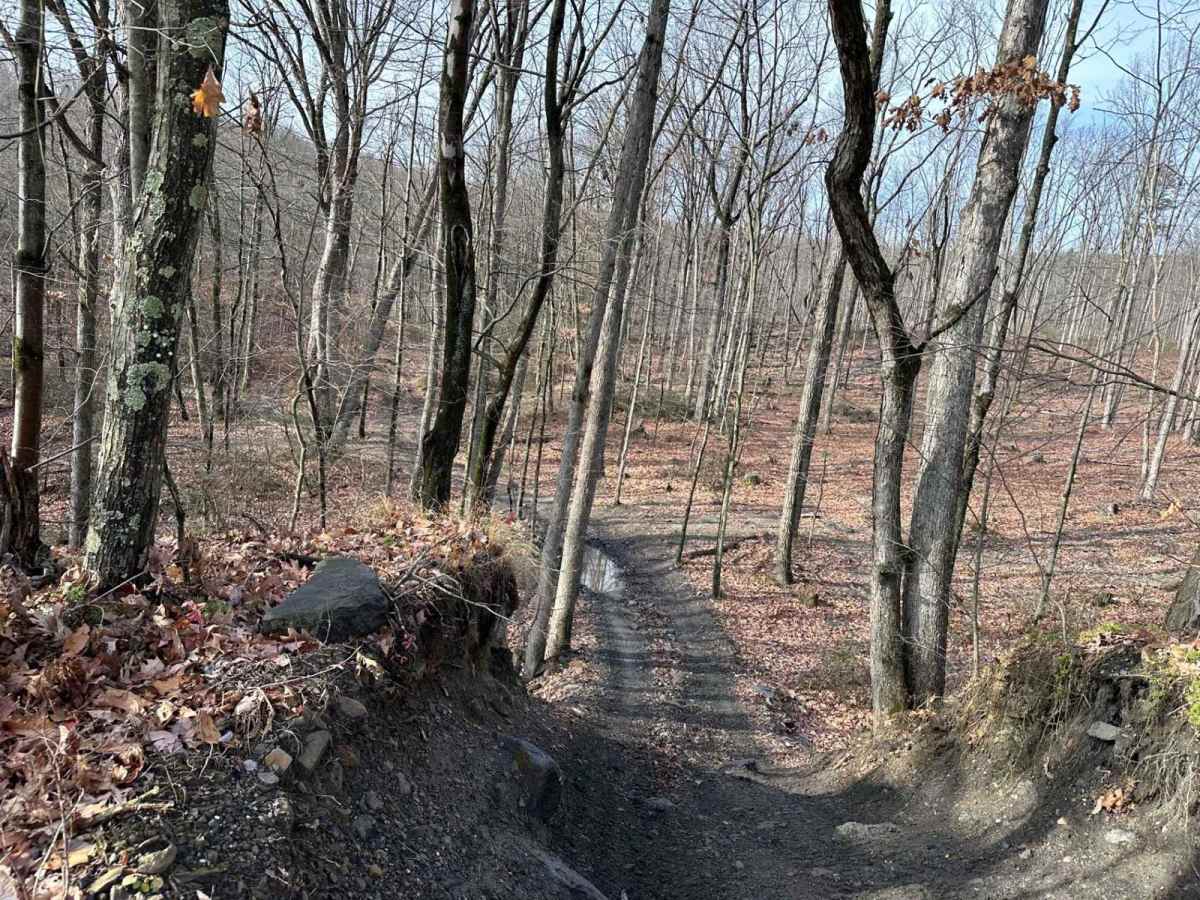 Wimzy Water Hole Trail trail photo
