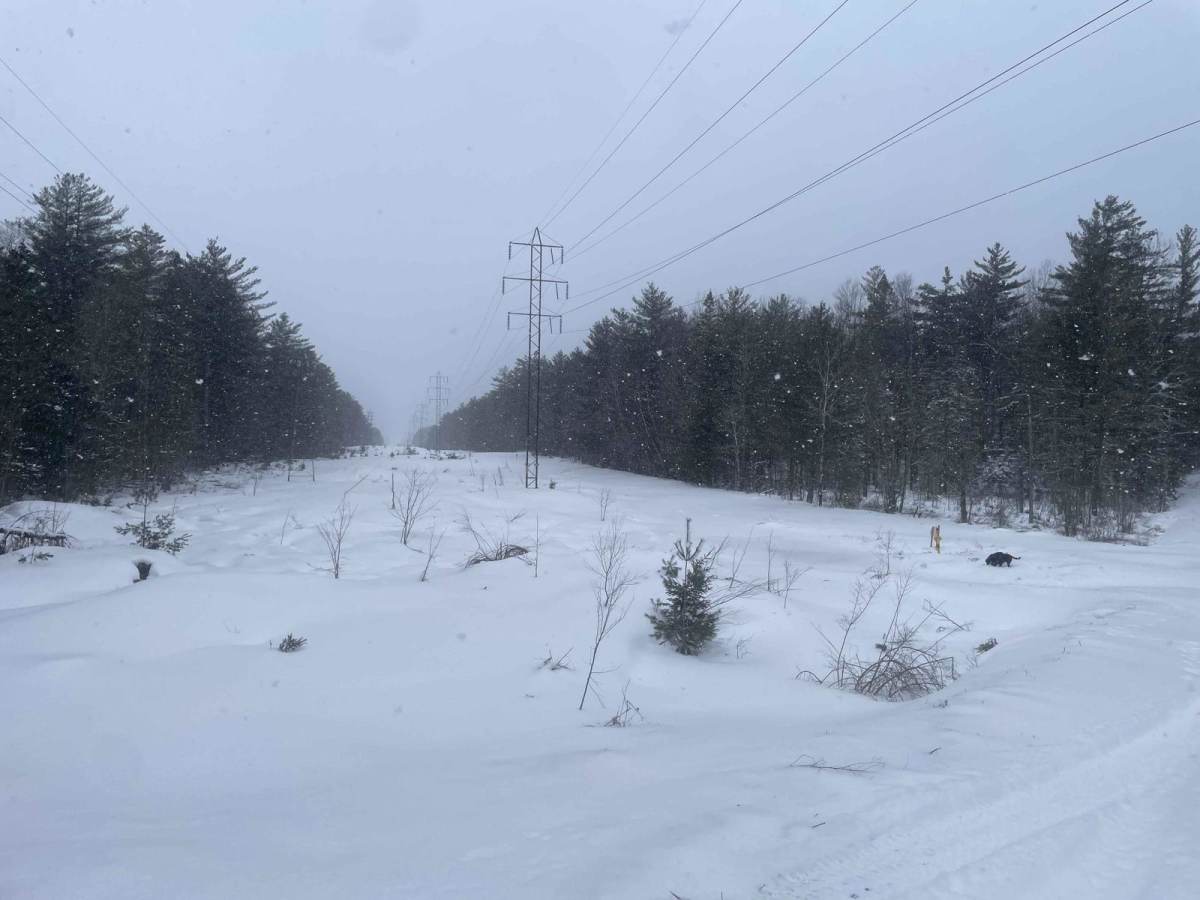Aspen Hollow Road photo 3