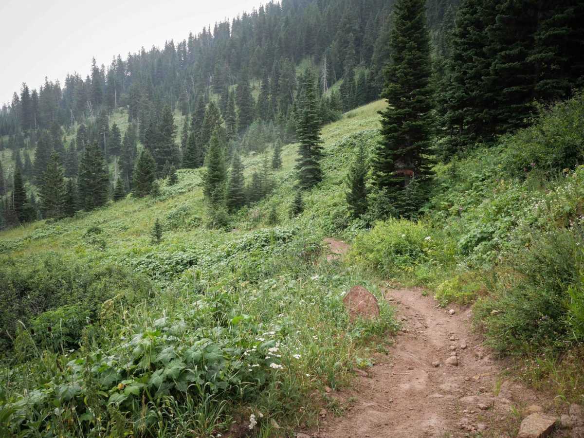 Ross Pass photo 3
