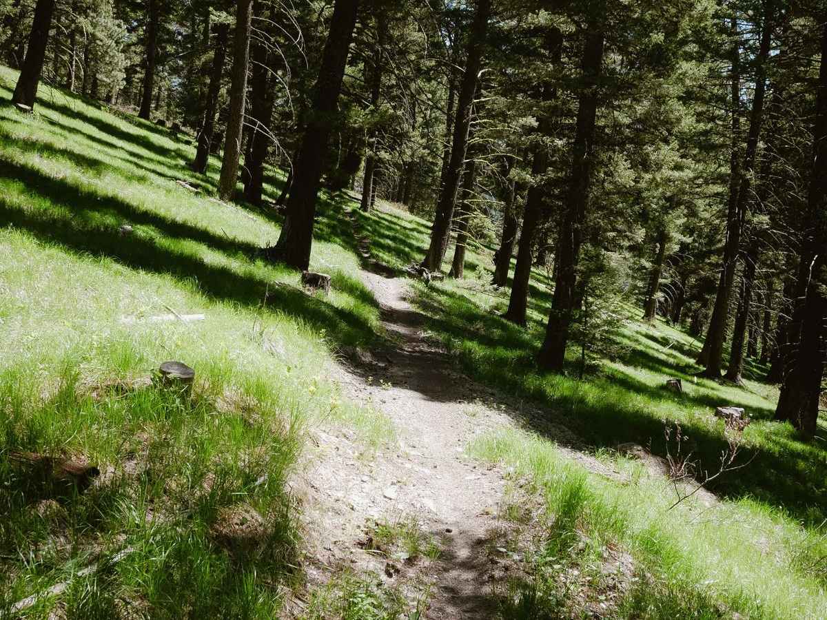 Hughes Creek photo 5