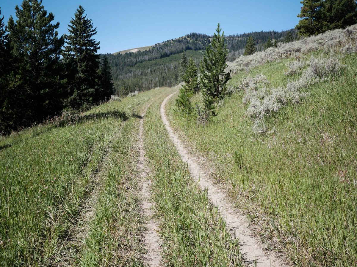 Dead Horse Creek photo 5