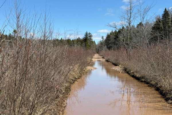 South River Lake Trail