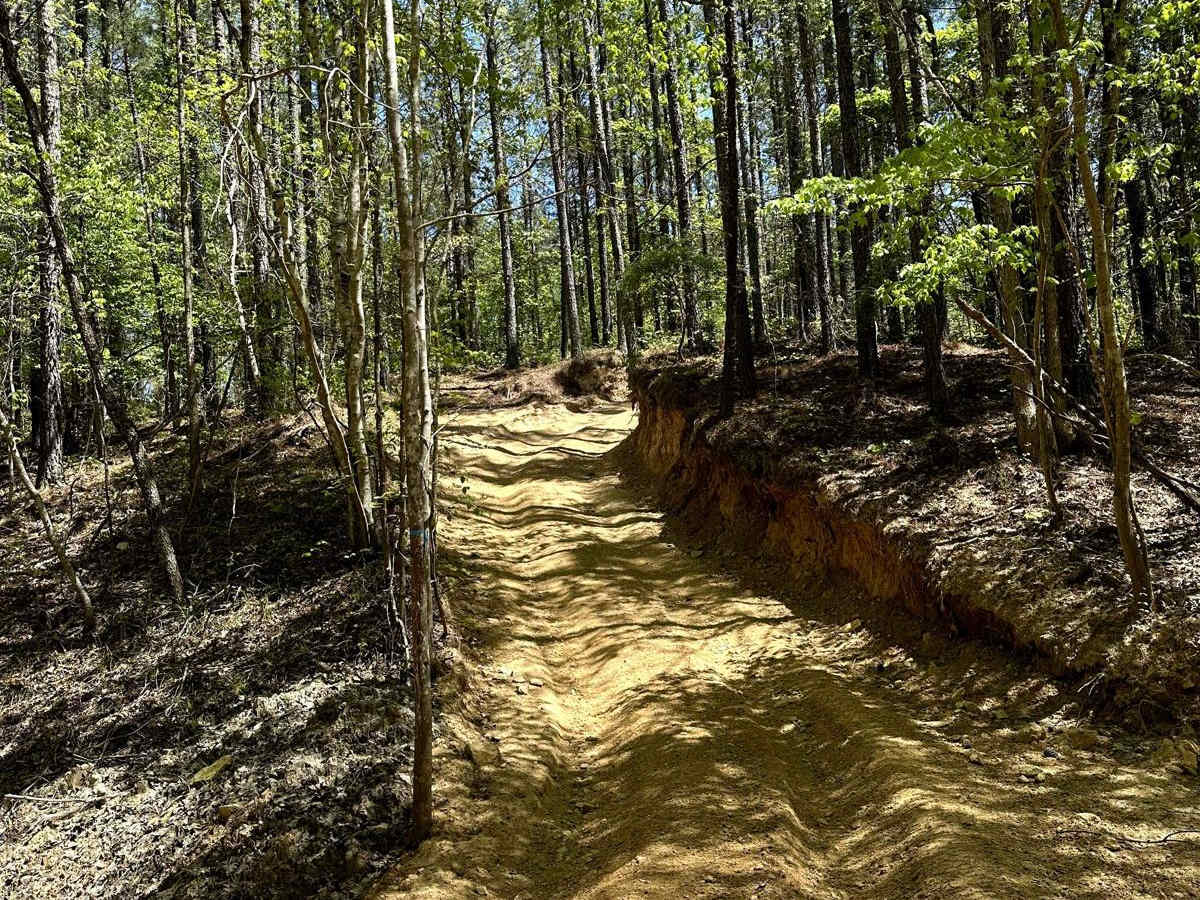 Trail 5 photo 3