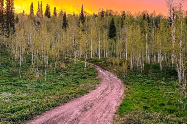 Rattlesnake Hill