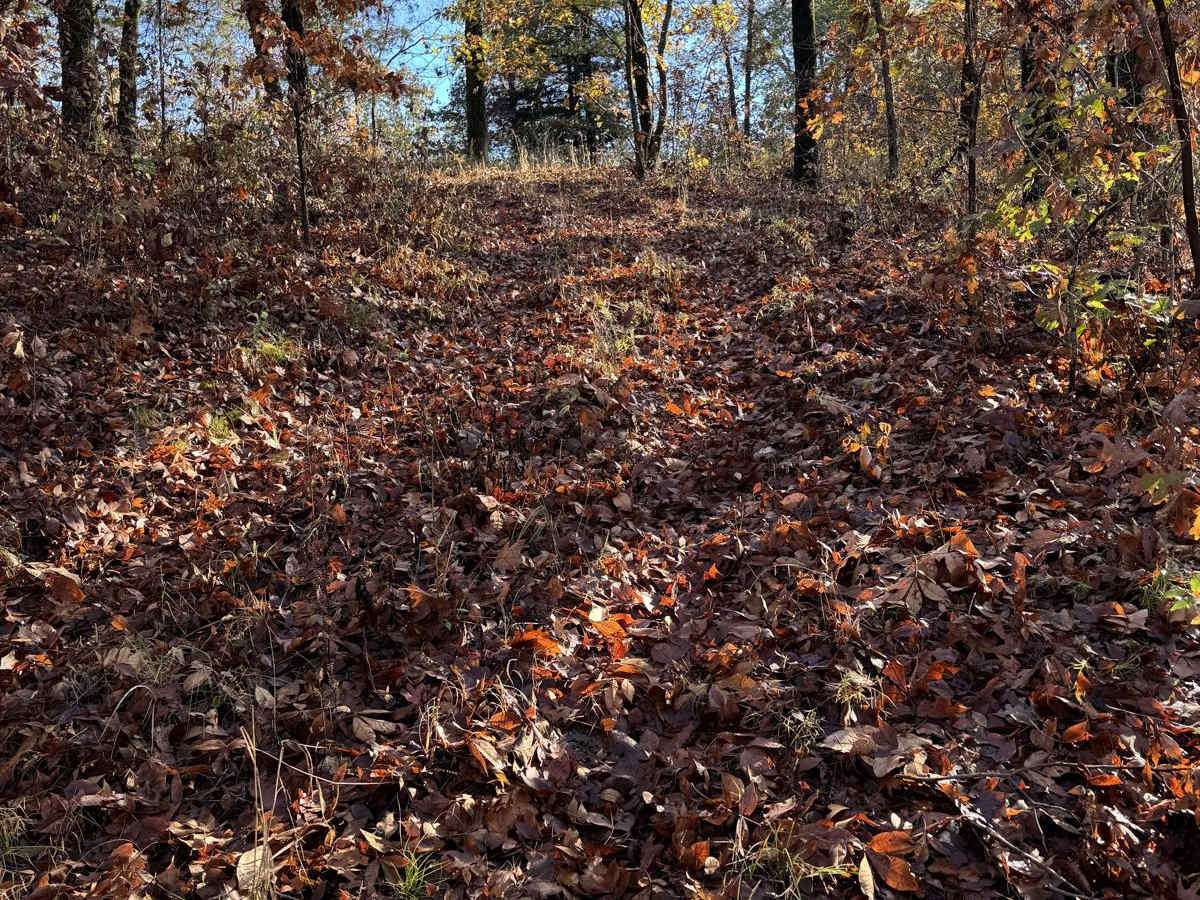 Green 108 photo 2