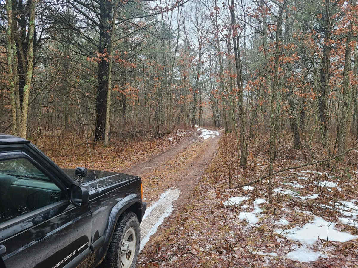 Forest Road 5301 photo 2
