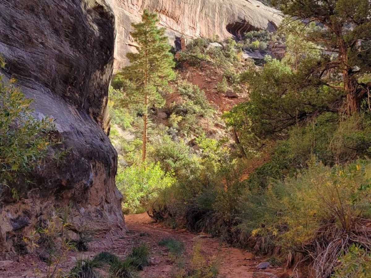 West Fork Road photo 2