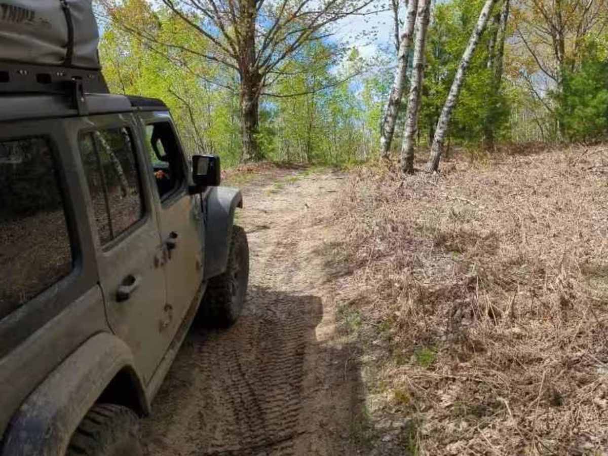 Pine Root Pass trail photo