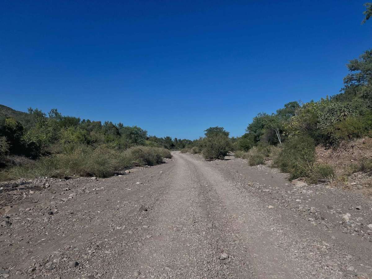 El Juncalito Escondido photo 3