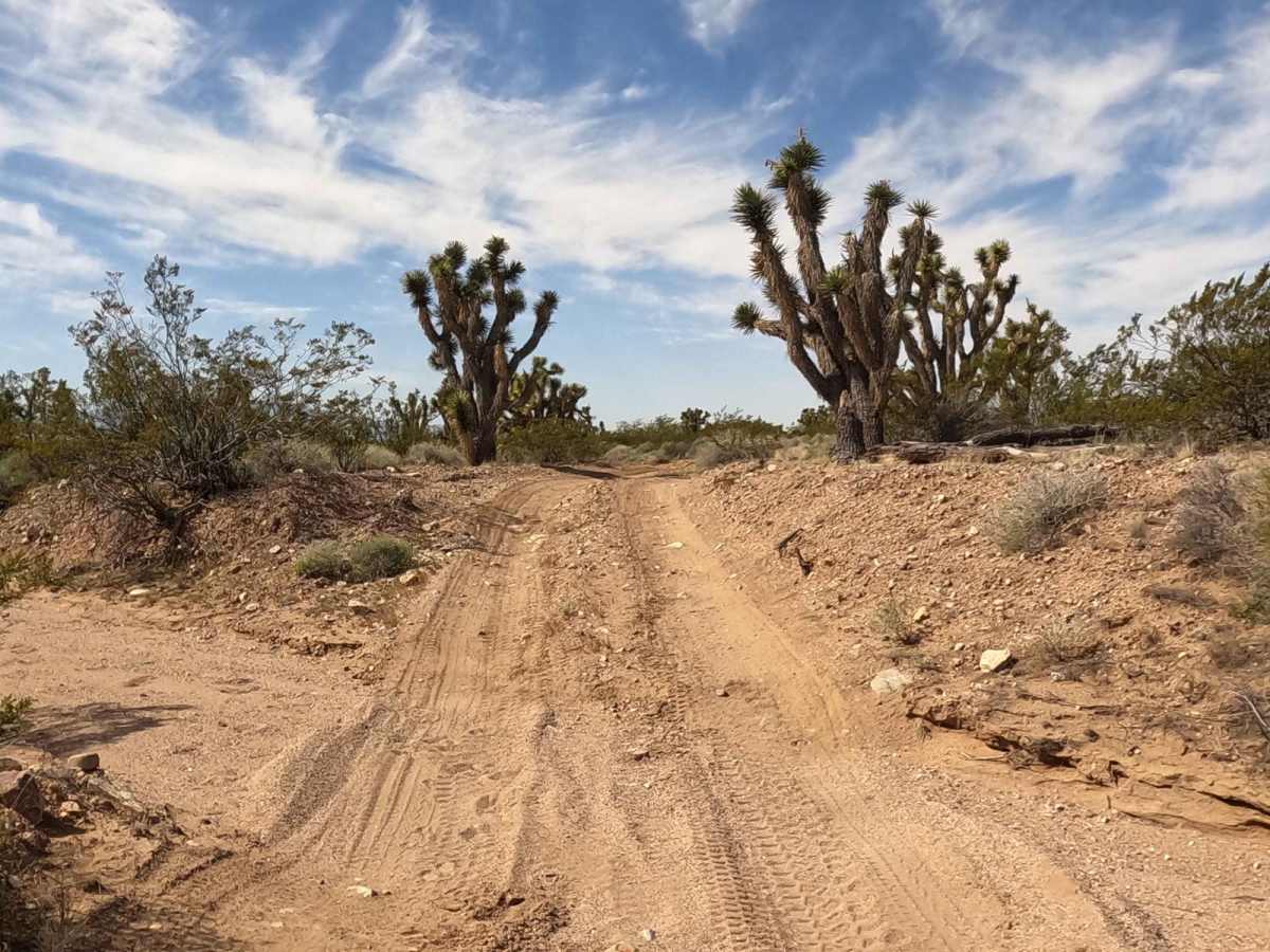 Powerline Road photo 6
