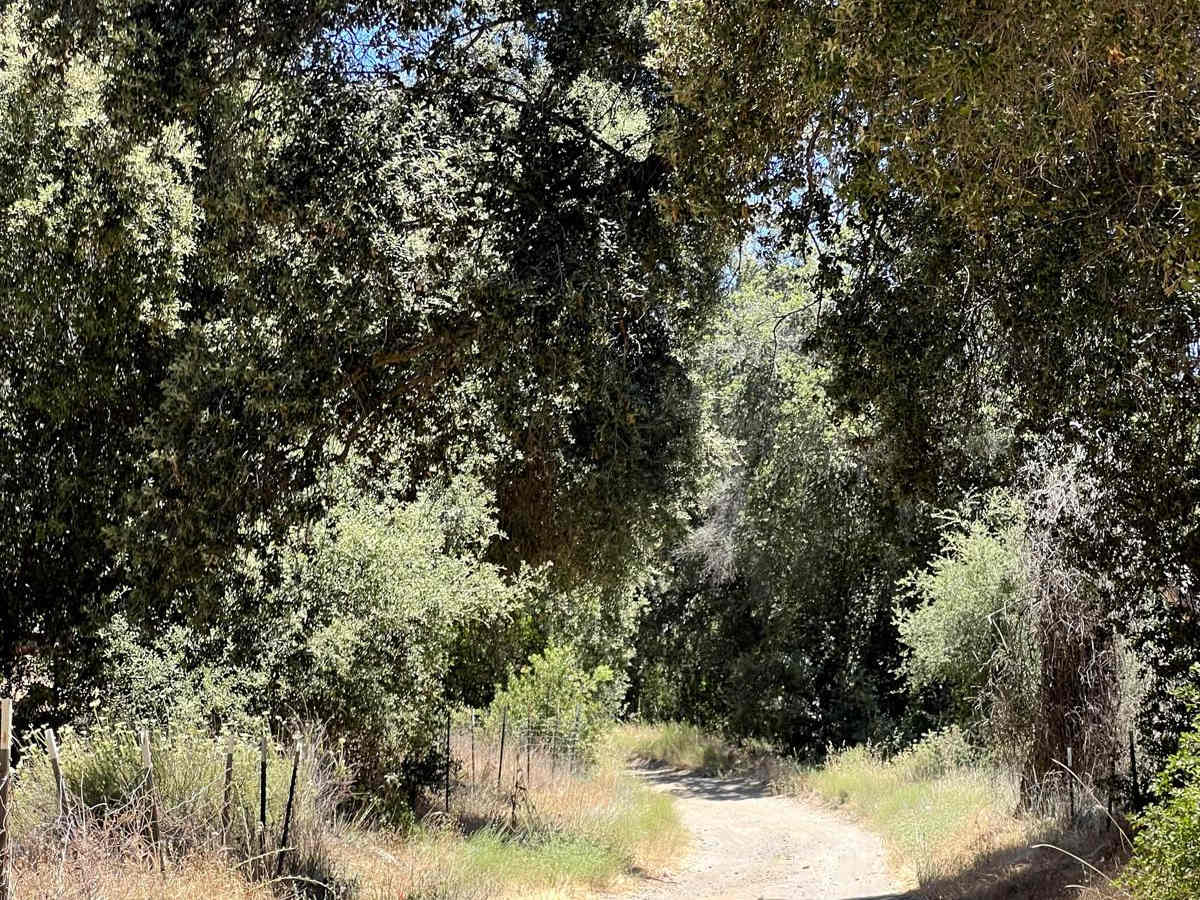 Corral Canyon Road photo 4