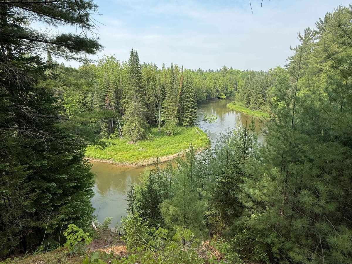 Manistee RXR River Trail photo 6