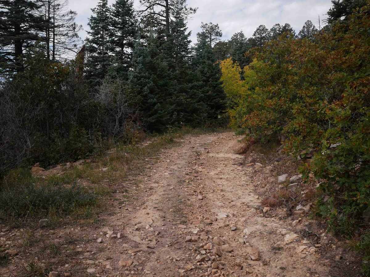 Trail Spring photo 6