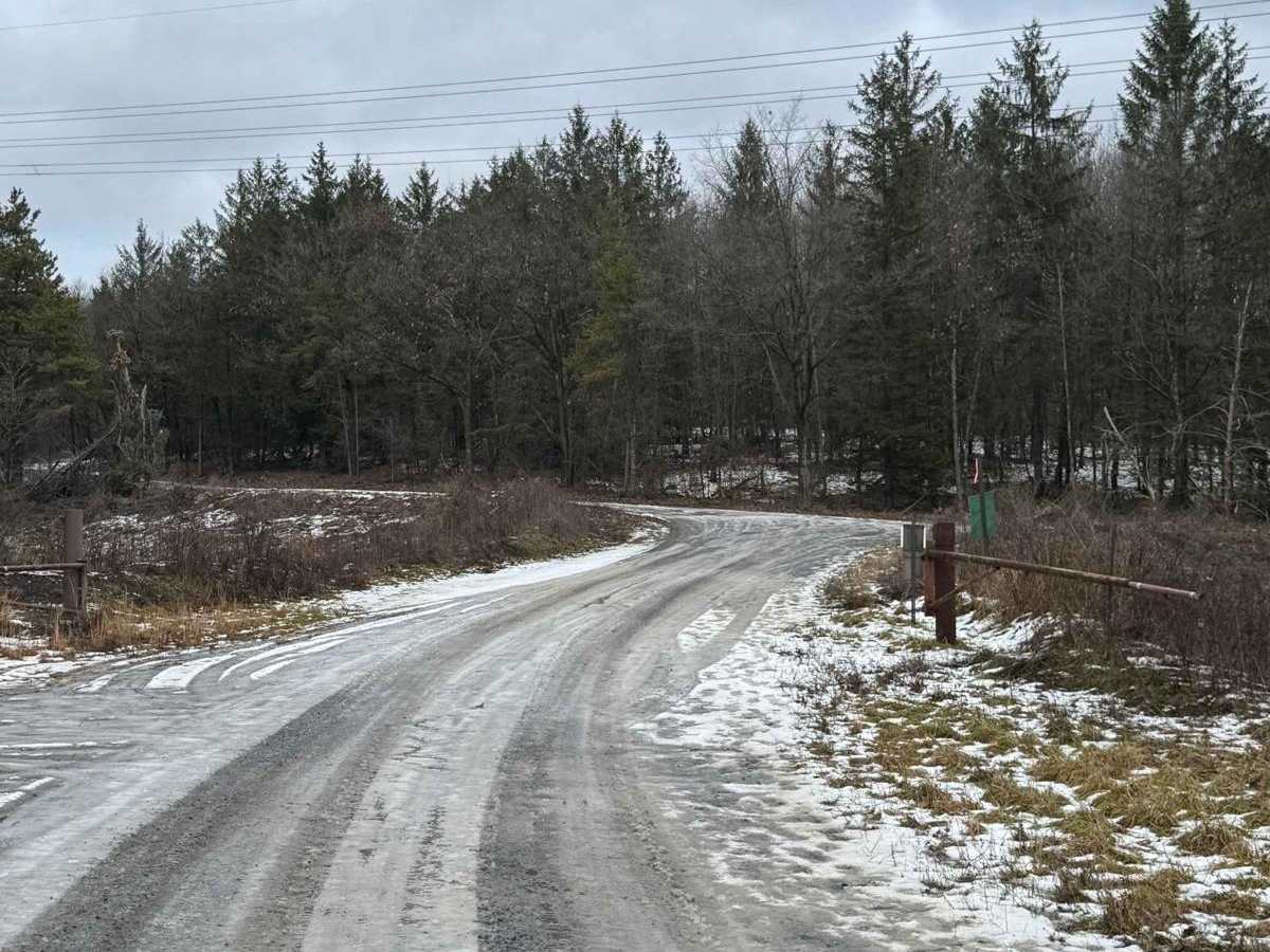 East Slab Run Road trail photo