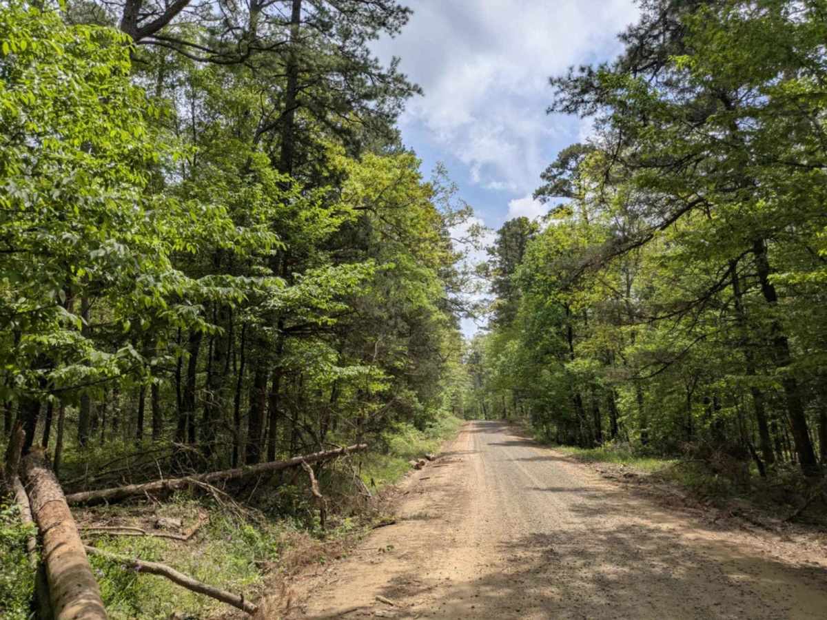 Spring Lake Access Road photo 2