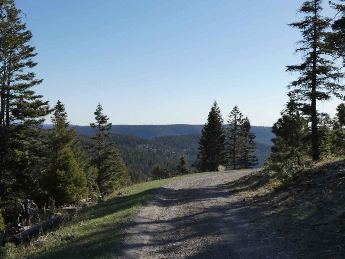 Pumphouse trail photo