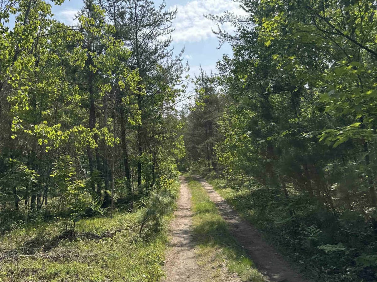 FS 3653 photo 6