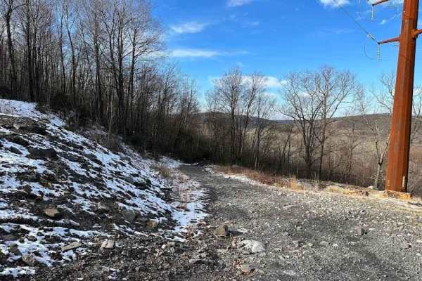 Locust Gap 81