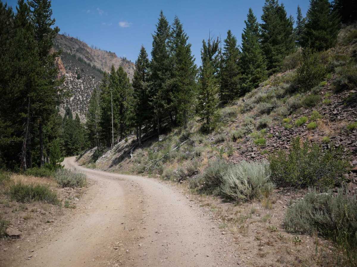 Challis Creek Road photo 4