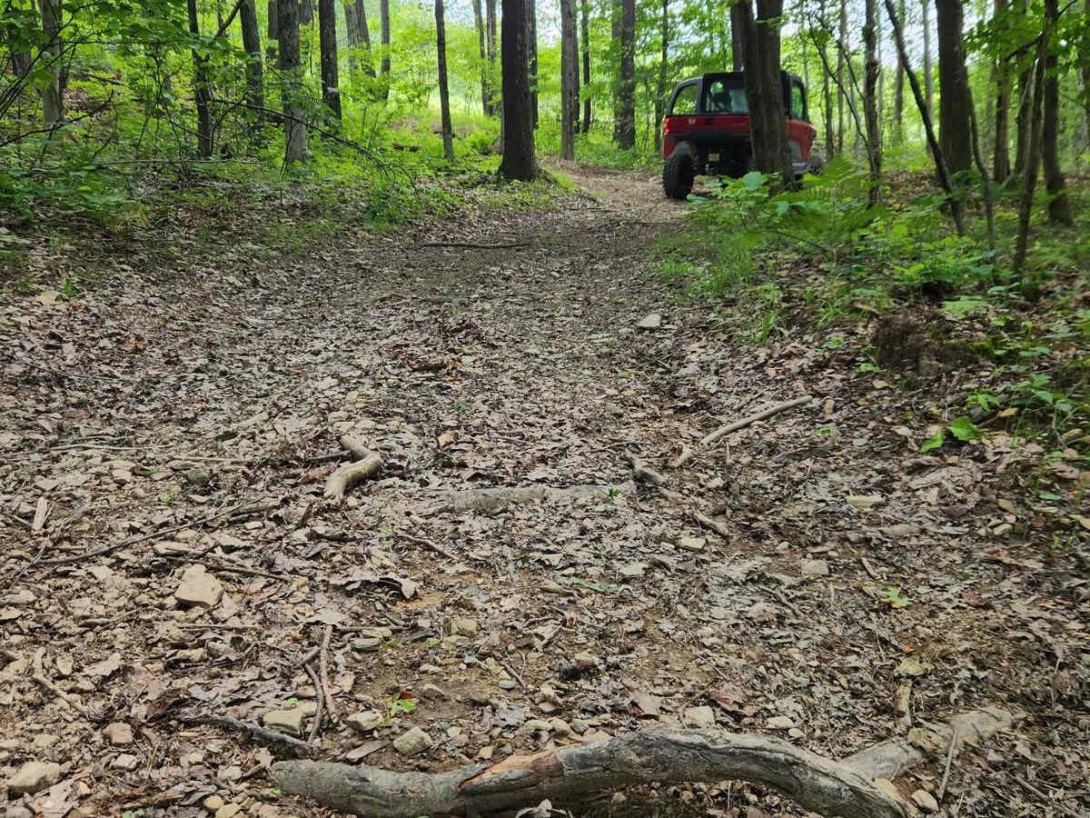Trail 4C - Rock Run Recreation Area photo 3