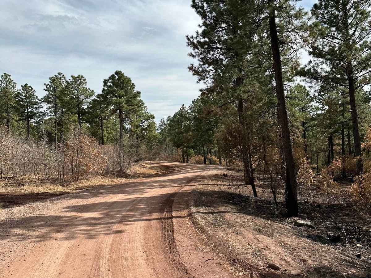 Red Canyon Campground photo 2