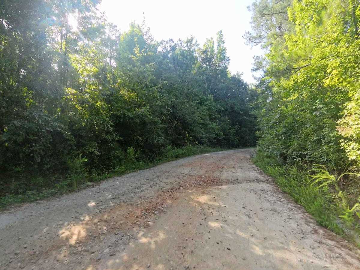Bear Creek Road trail photo