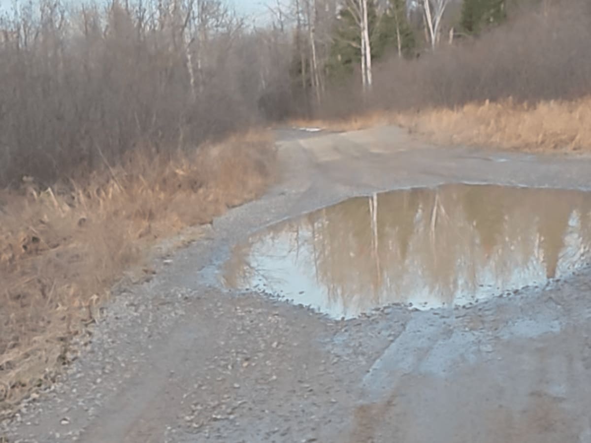 Deer Lake Trail photo 5