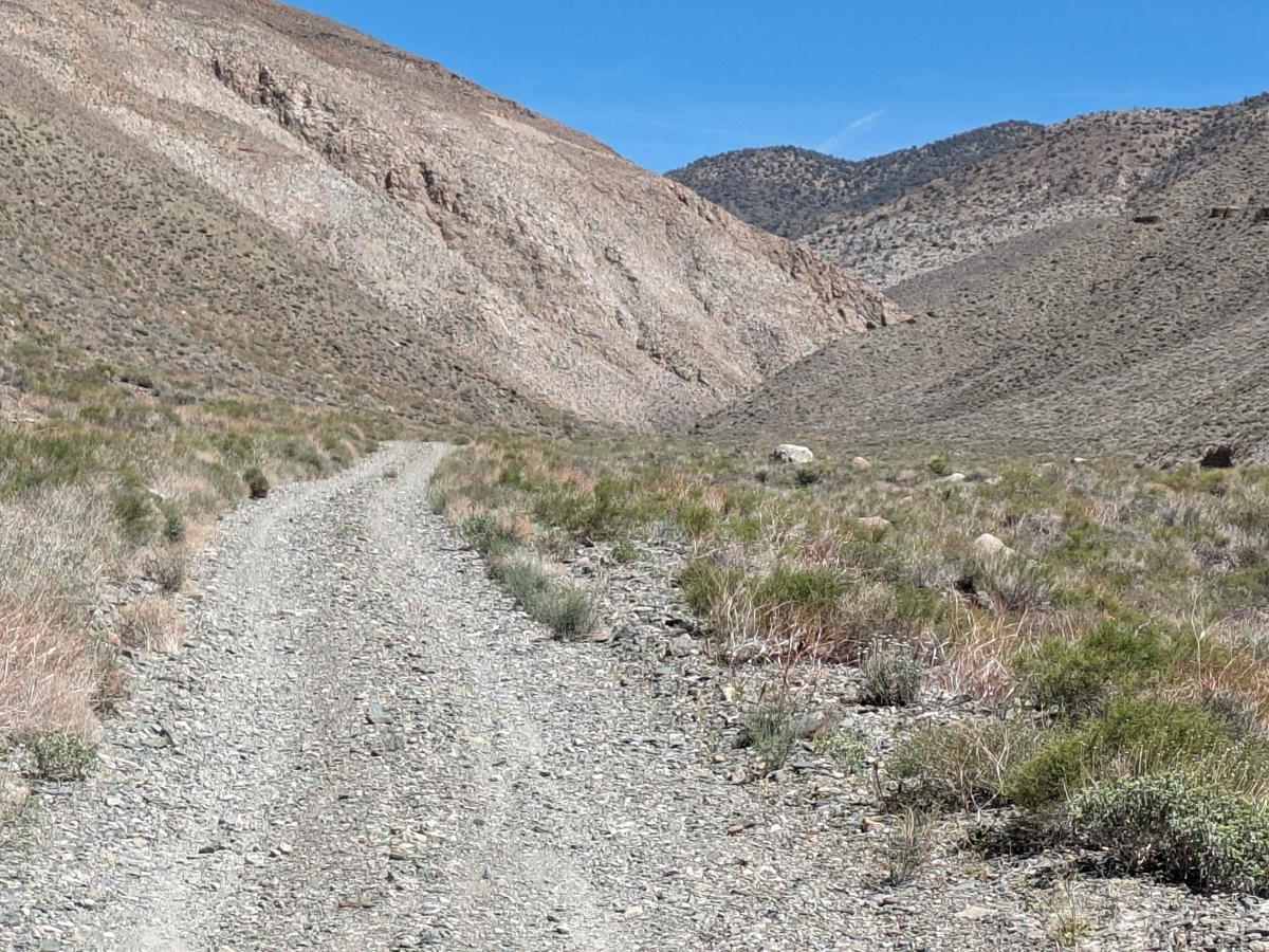 Black Canyon photo 2