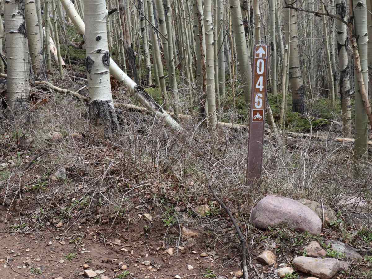 Poison Mountain photo 2