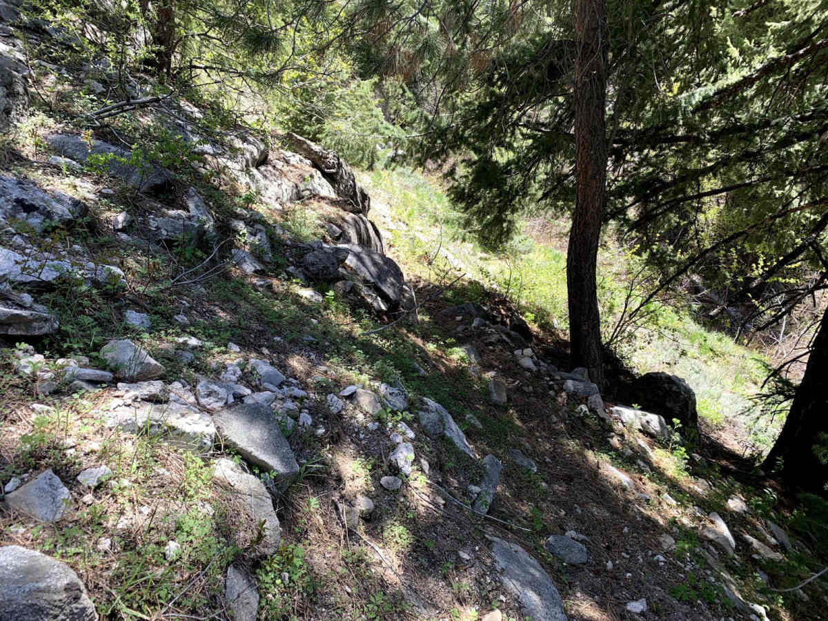 Lupine Gulch photo 2
